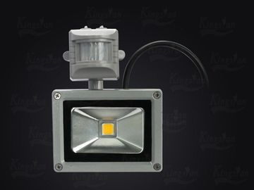 50W Induction LED Floodlight Water Resistant LED Flood Lamp for Corridor or Factory Lighting
